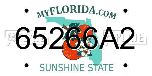 65266A2 Florida License Plate