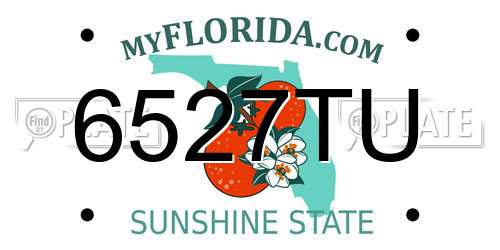 6527TU Florida License Plate