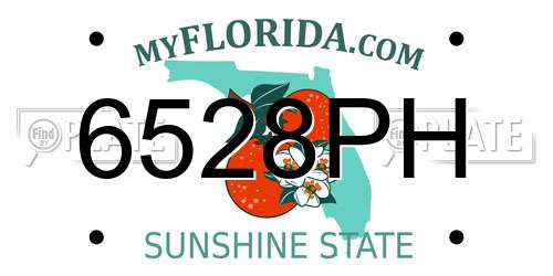 6528PH Florida License Plate