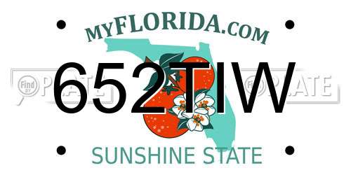 652TIW Florida License Plate