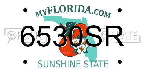 6530SR Florida License Plate