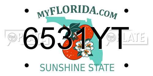 6531YT Florida License Plate