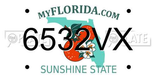 6532VX Florida License Plate