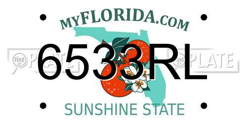 6533RL Florida License Plate