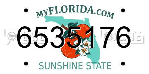 6535176 Florida License Plate
