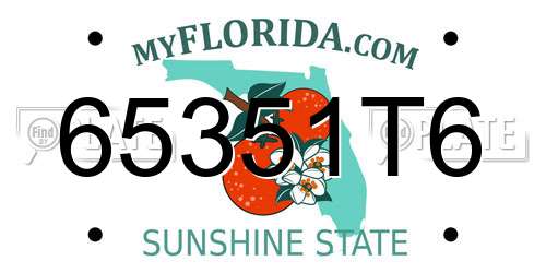 65351T6 Florida License Plate