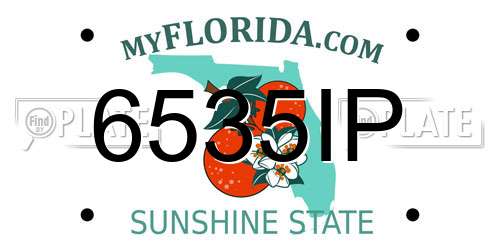 6535IP Florida License Plate