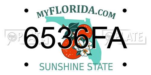 6536FA Florida License Plate
