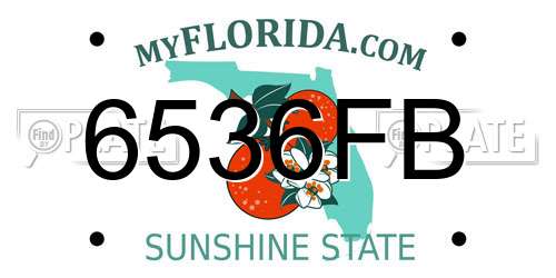 6536FB Florida License Plate
