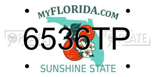 6536TP Florida License Plate