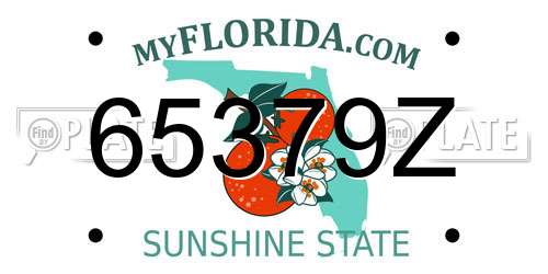 65379Z Florida License Plate