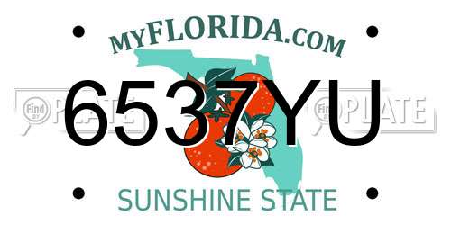 6537YU Florida License Plate