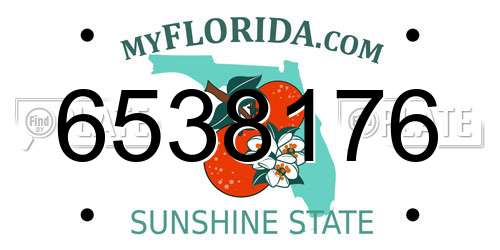 6538176 Florida License Plate