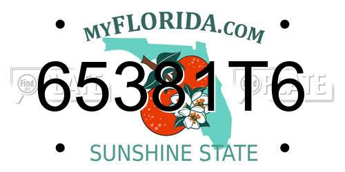 65381T6 Florida License Plate