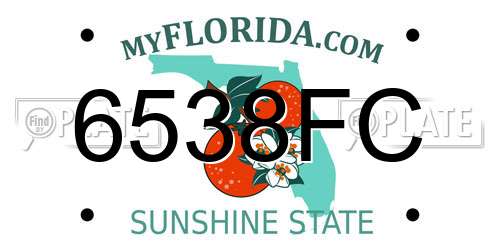 6538FC Florida License Plate