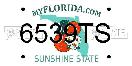 6539TS Florida License Plate