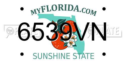 6539VN Florida License Plate