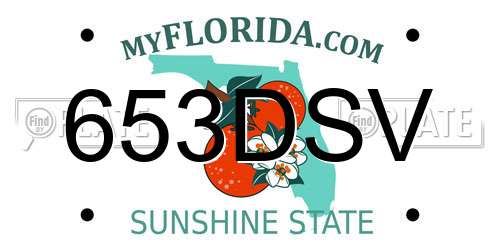653DSV Florida License Plate