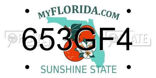 653GF4 Florida License Plate