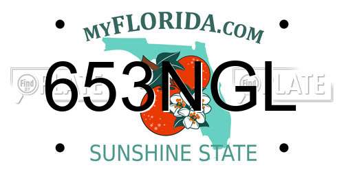 653NGL Florida License Plate