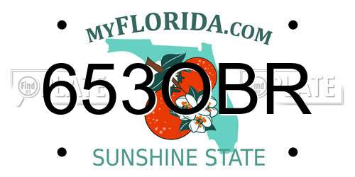 653OBR Florida License Plate