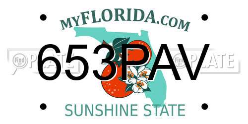653PAV Florida License Plate