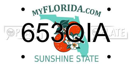 653QIA Florida License Plate