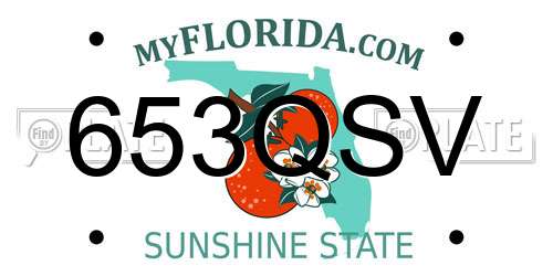 653QSV Florida License Plate