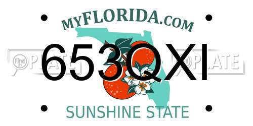 653QXI Florida License Plate