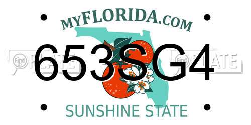 653SG4 Florida License Plate