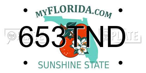 653TND Florida License Plate