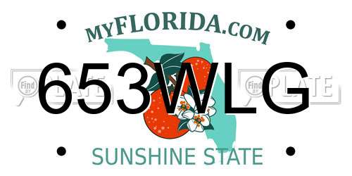 653WLG Florida License Plate