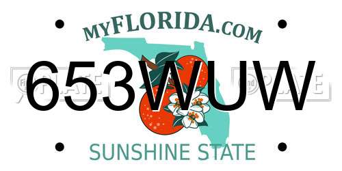 653WUW Florida License Plate