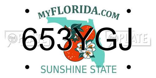 653YGJ Florida License Plate