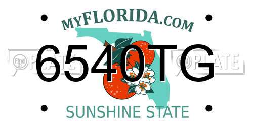 6540TG Florida License Plate