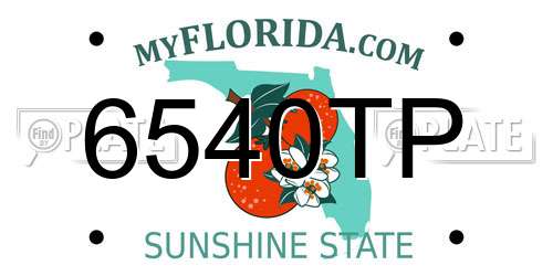 6540TP Florida License Plate