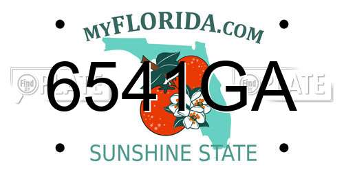 6541GA Florida License Plate