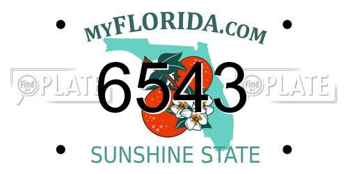 6543 Florida License Plate
