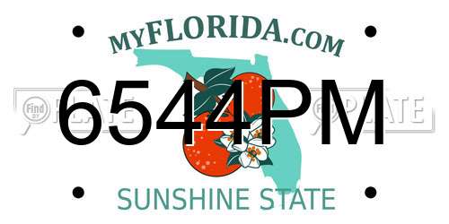 6544PM Florida License Plate