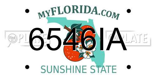 6546IA Florida License Plate
