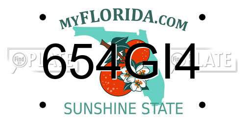 654GI4 Florida License Plate