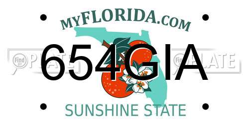 654GIA Florida License Plate