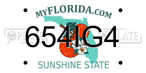 654IG4 Florida License Plate