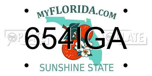 654IGA Florida License Plate
