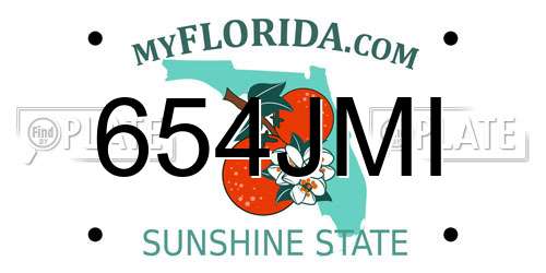 654JMI Florida License Plate