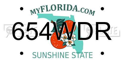 654WDR Florida License Plate