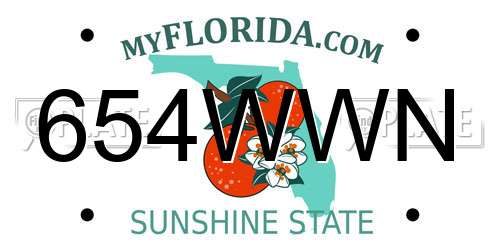 654WWN Florida License Plate