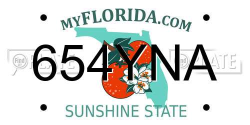 654YNA Florida License Plate