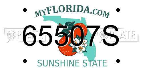 65507S Florida License Plate