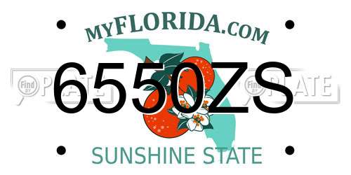 6550ZS Florida License Plate